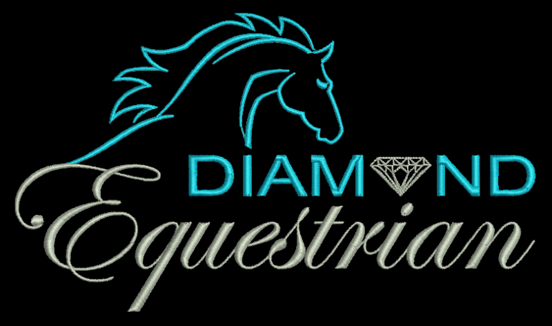 Diamond-Jkt-Back-new-black-background