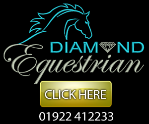 Diamond Equestrian